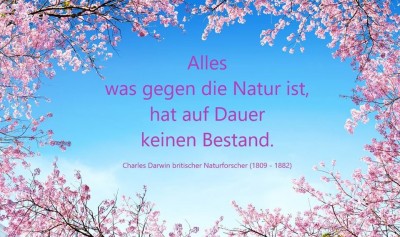 Natur.jpg