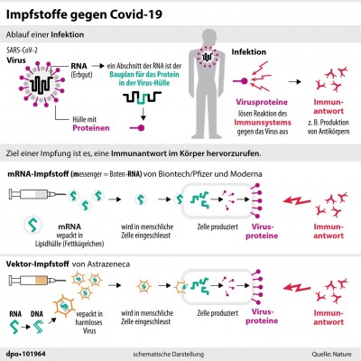 infografik-impfstoffe-covid-19.jpg