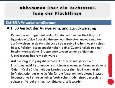 Screenshot 2025-01-02 at 16-22-47 Art. 33 GFK Verbot der Ausweisung und Zurückweisung - freiRecht.de.PNG